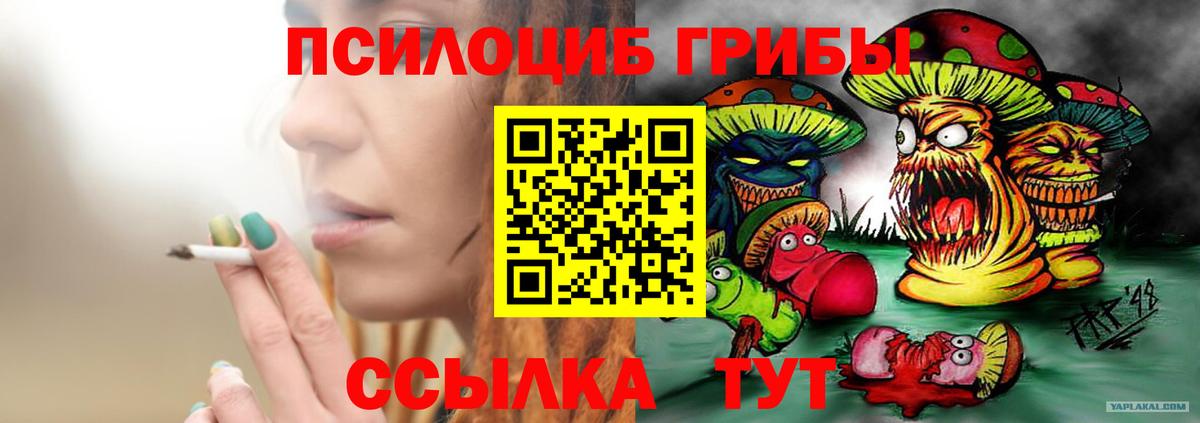 наркошоп  Галлюциногенные грибы Psilocybe  Вход с VPN  Муром 